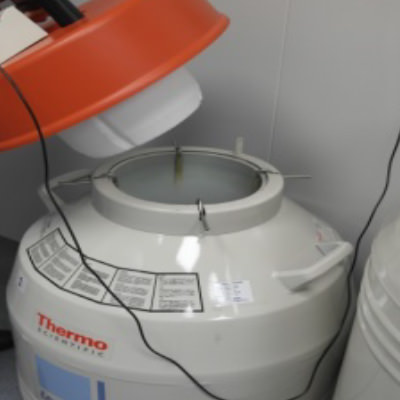 The liquid nitrogen container to store the cell lines